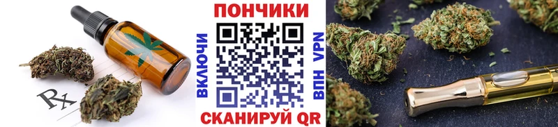 Купить где  Буинск  Canna-Cookies конопля 