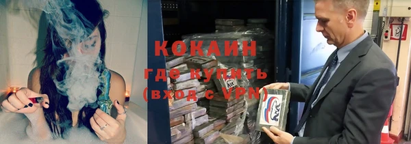твердый Арсеньев
