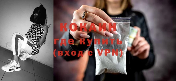 твердый Арсеньев