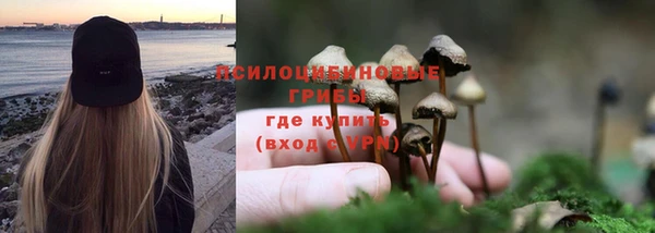 первитин Армянск