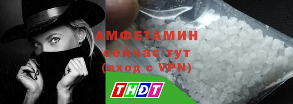 твердый Арсеньев