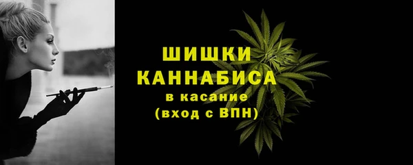 твердый Арсеньев